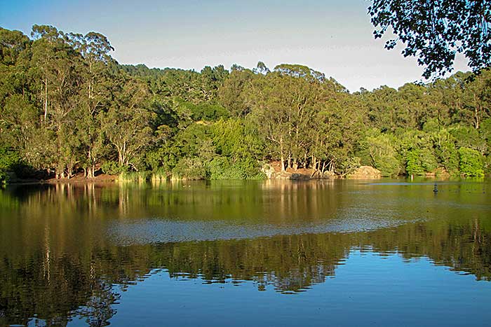 Anza Lake in Tilden Park - Sightseeing