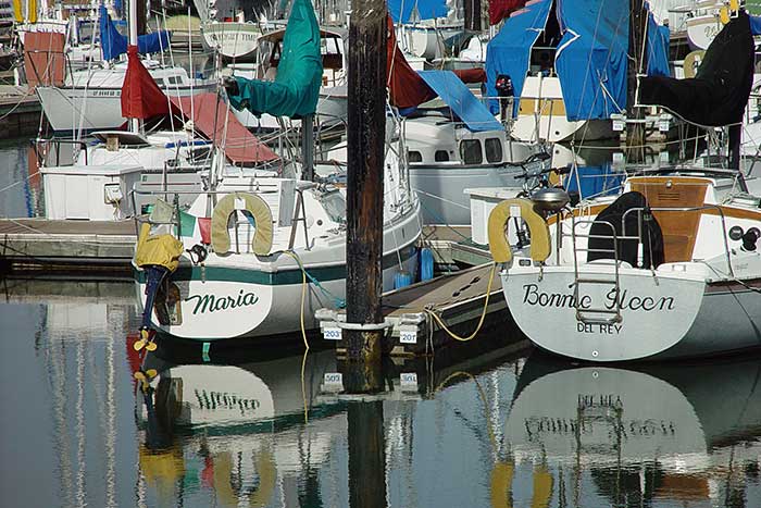 Berkeley Marina - Sightseeing